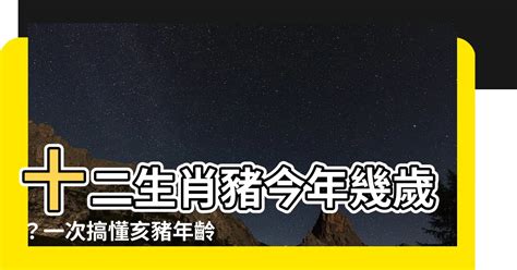 屬豬年份|屬豬今年幾歲 豬年是民國西元哪幾年